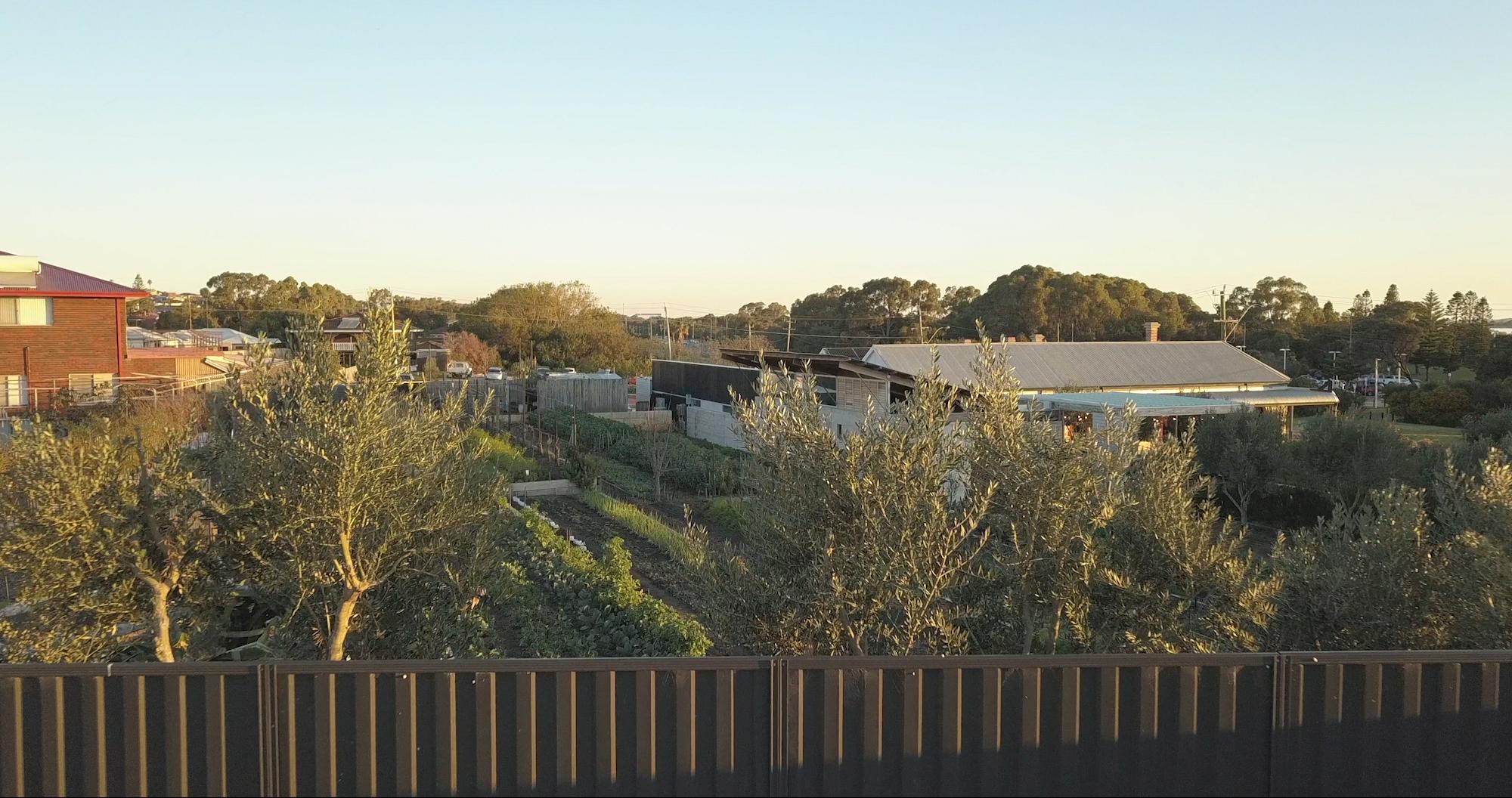 Coogee-Common-Video_10.jpeg
